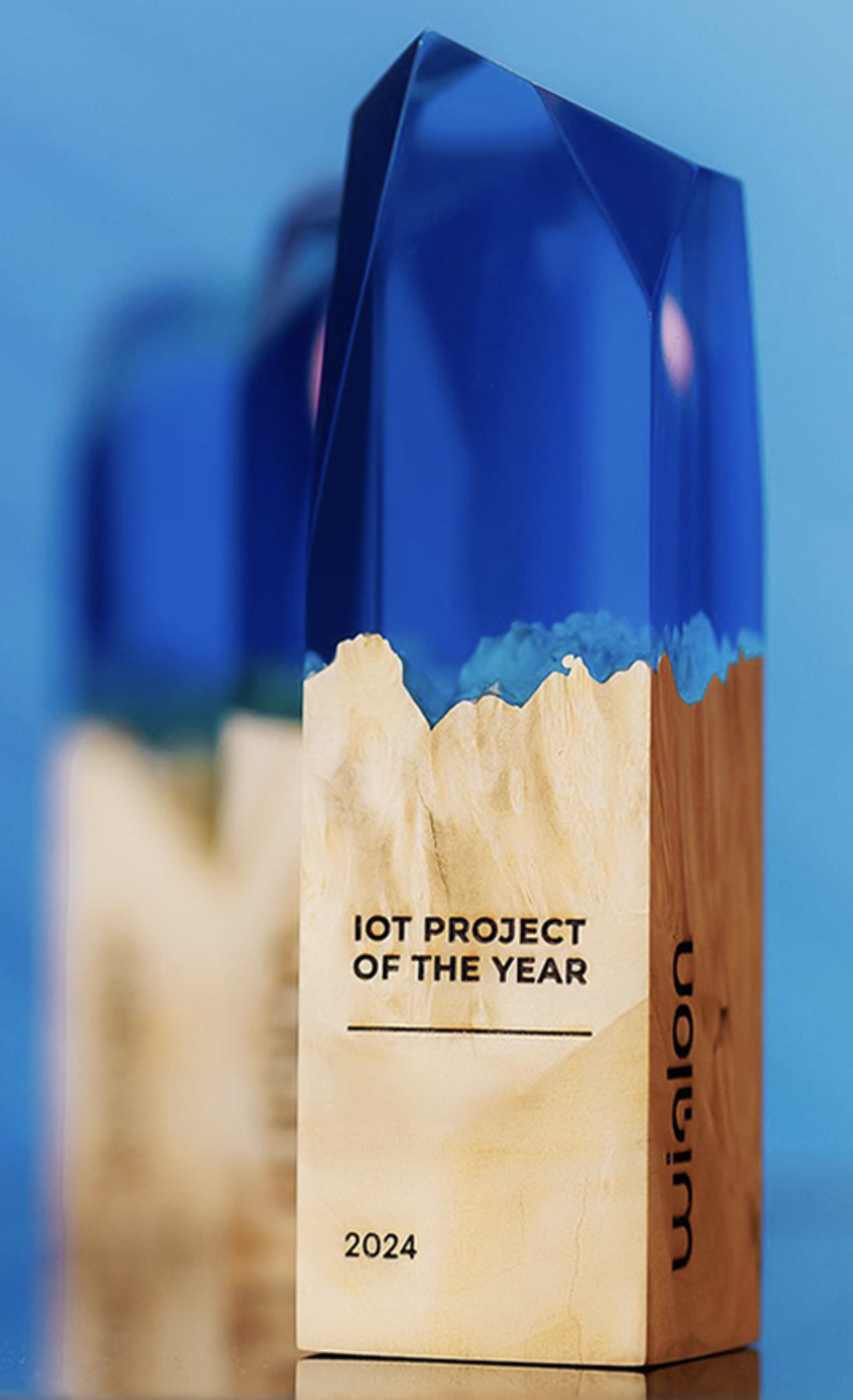IoT Project of the Year 2024 — Sarfaroz